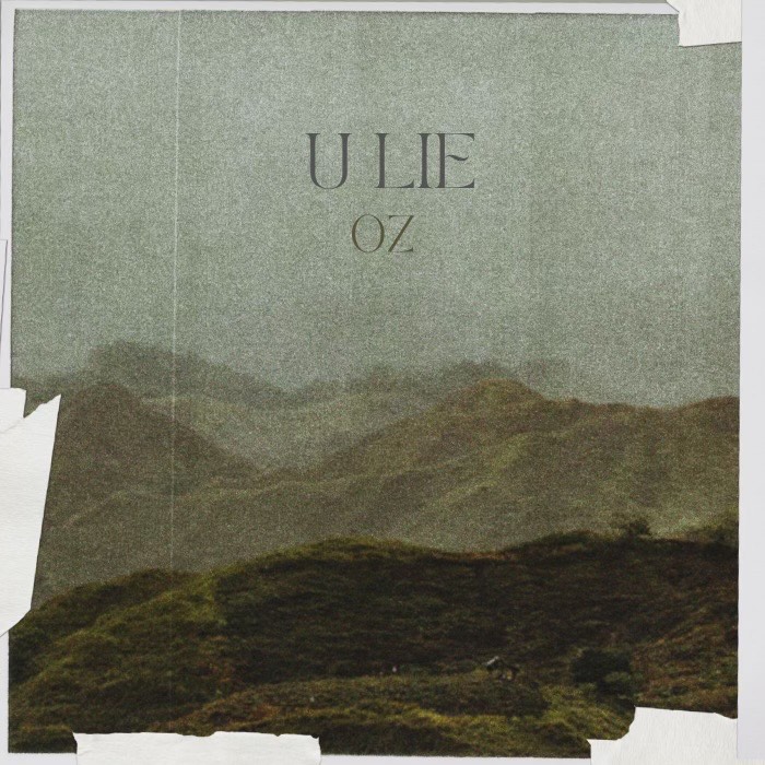 U Lie Cover